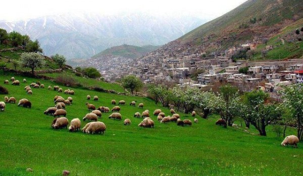 کرمانشاه در فصل بهار از بهترین مقاصد گردشگری کشور است