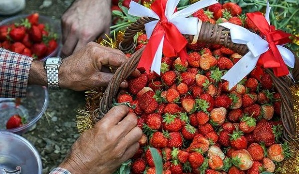 سێهەمین فێستیڤاڵی شێلک لە سنە بەڕێوە دەچێت